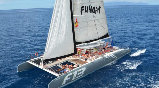 Excursion Catamaran Palma – Freebird